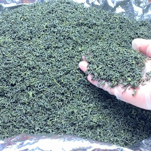 松阳香茶2025新茶浓香型炒青绿茶高山云雾绿茶浙江丽水茶叶耐泡