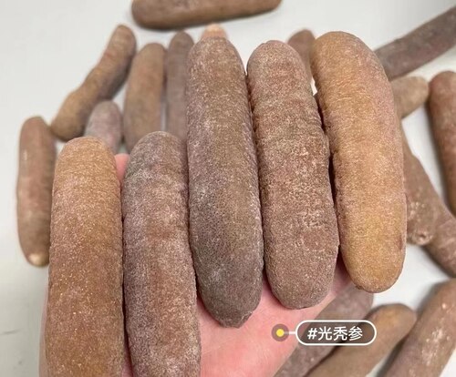 澳洲光秃参深海淡干海参金沙参明秃参海参干货白肉参沙秃参包邮