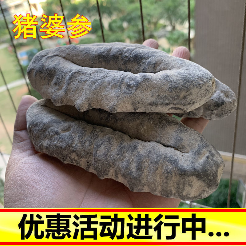 特级大猪婆参野生干货猪婆参澳洲干品/即食海参