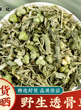 珍珠透骨草中药材正品野生透骨草泡脚中药磨粉非凤仙透骨草伸筋草