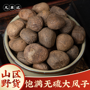 野生大风子中药材正品500g克大枫子仁中药大疯子大枫子麻风子新货