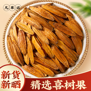 喜树果中药材正品500g新货无硫水栗子千丈树天梓树果干货喜树子