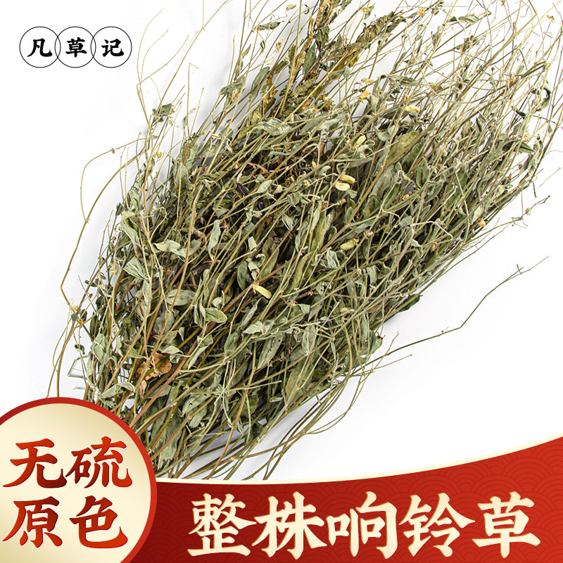 野生响铃草中药材500g新鲜响玲草中草药新货马响铃马铃草响铃子草