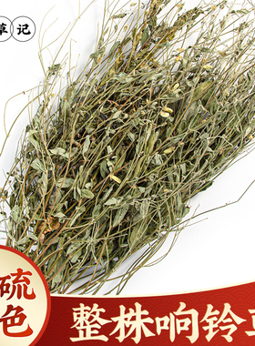 野生响铃草中药材500g新鲜响玲草中草药新货马响铃马铃草响铃子草