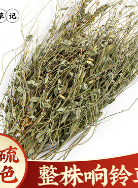 野生响铃草中药材全株新货
