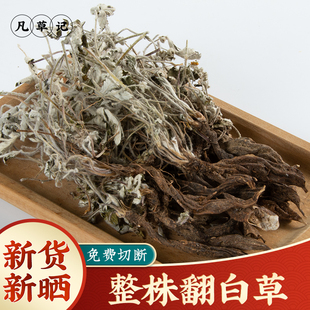 野生翻白草中药材500g正品翻百草根反白草新鲜番白草茶地骨皮整株