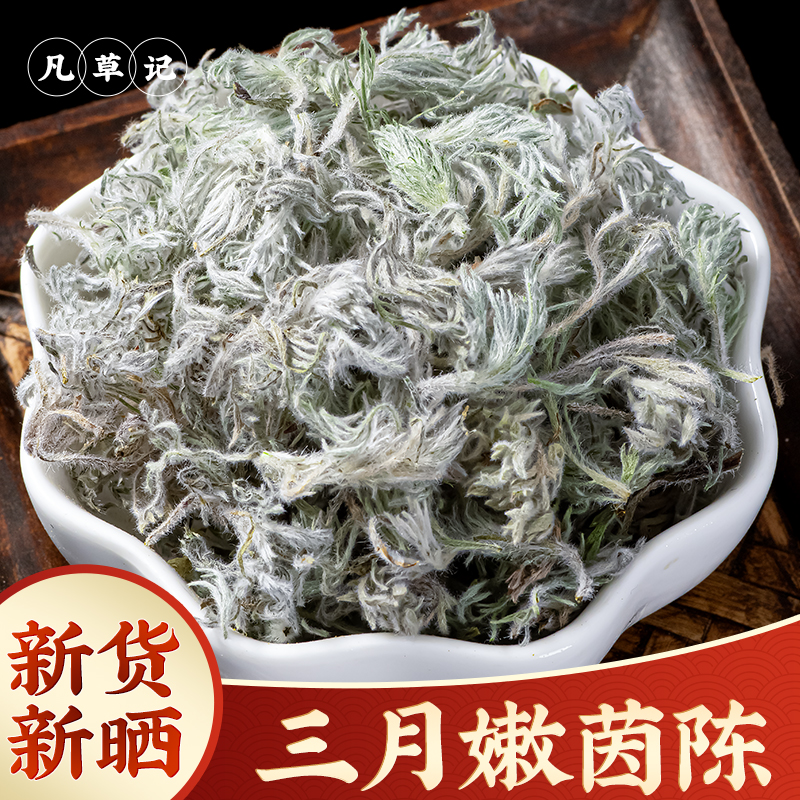 新鲜茵陈中药材500g野生茵陈茶白蒿棉茵陈蒿绵茵陈因陈三月绵茵陈