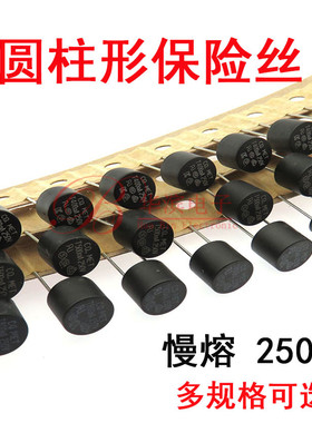 圆柱保险丝管T160MA 400MA 500MA 800MA 1A 1.25A 1.6A 250V黑色