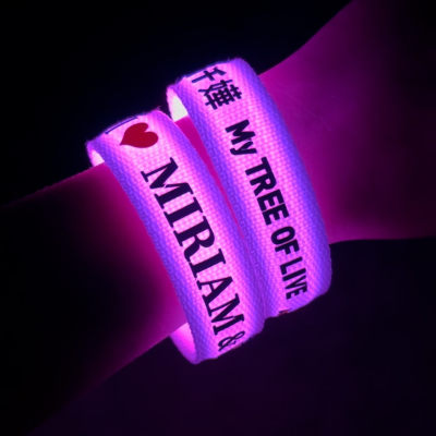 杨千嬅应援发光手环2025MY FREE OF LIVE演唱会粉丝助威发光道具
