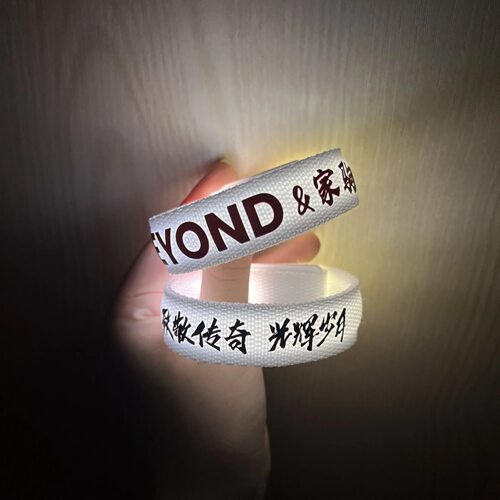 叶世荣应援发光手环演唱会音乐节粉丝助威发光道具周边Beyond乐队
