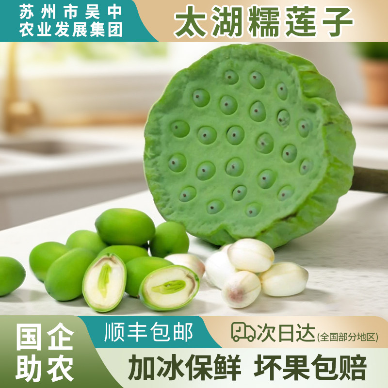 令鲜顺食【新鲜莲子】生吃水果新鲜采摘2025手剥太湖莲蓬产地包邮