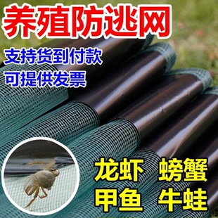 小龙虾防逃网养殖围网青蛙螃蟹甲鱼牛蛙虾塘鱼塘网箱塑料养虾专用