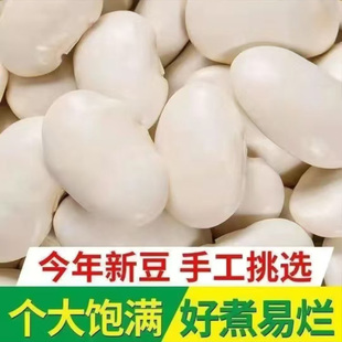 正宗云南大白芸豆干货2025新货大芸豆新鲜无硫大白芸豆雪豆粗粮