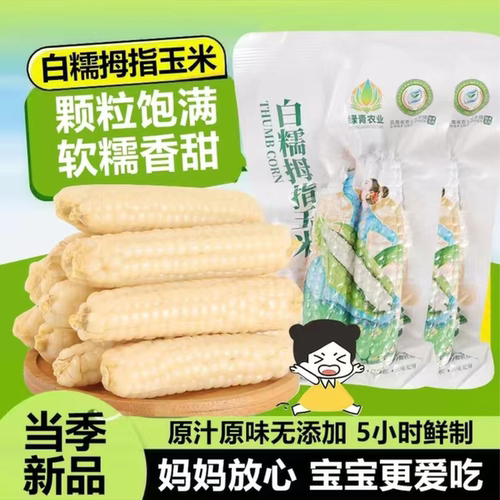 云南西双版纳拇指小玉米新鲜优质甜香糯手拇指玉米真空装营养早餐