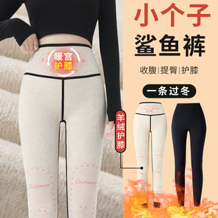 小个子加绒鲨鱼裤女外穿秋冬季加厚棉裤羊绒蚕丝保暖瑜伽打底裤子
