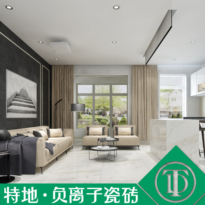 特地 客厅大板600x900大理石瓷砖背景墙卧室地砖釉面砖简约地板砖