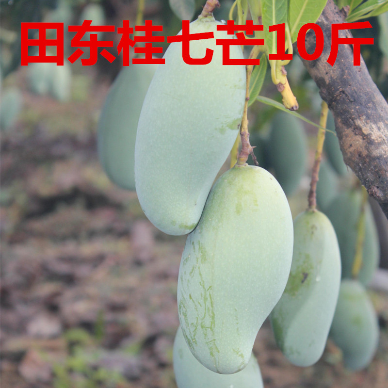 大青芒芒果新鮮水果10斤裝中大果廣西桂七芒包郵當季整箱現摘現發
