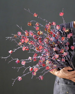 仿真干花花壳枯树枝灯笼仿真花摆件客厅装饰花风干果壳花冬季带霜