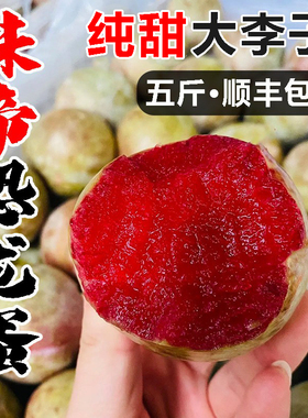 新疆新鲜水果味帝恐龙蛋李子红肉胭脂当季时令杏李整箱包邮黑布林