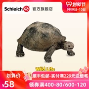 Sile schleich rùa khổng lồ 14601 rừng động vật hoang dã mô hình con mô phỏng đồ chơi rùa - Đồ chơi gia đình
