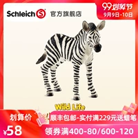 Schleich Đức Sile Little Zebra 14811 Mô phỏng động vật hoang dã Mô hình động vật hoang dã - Đồ chơi gia đình thú nhồi bông among us