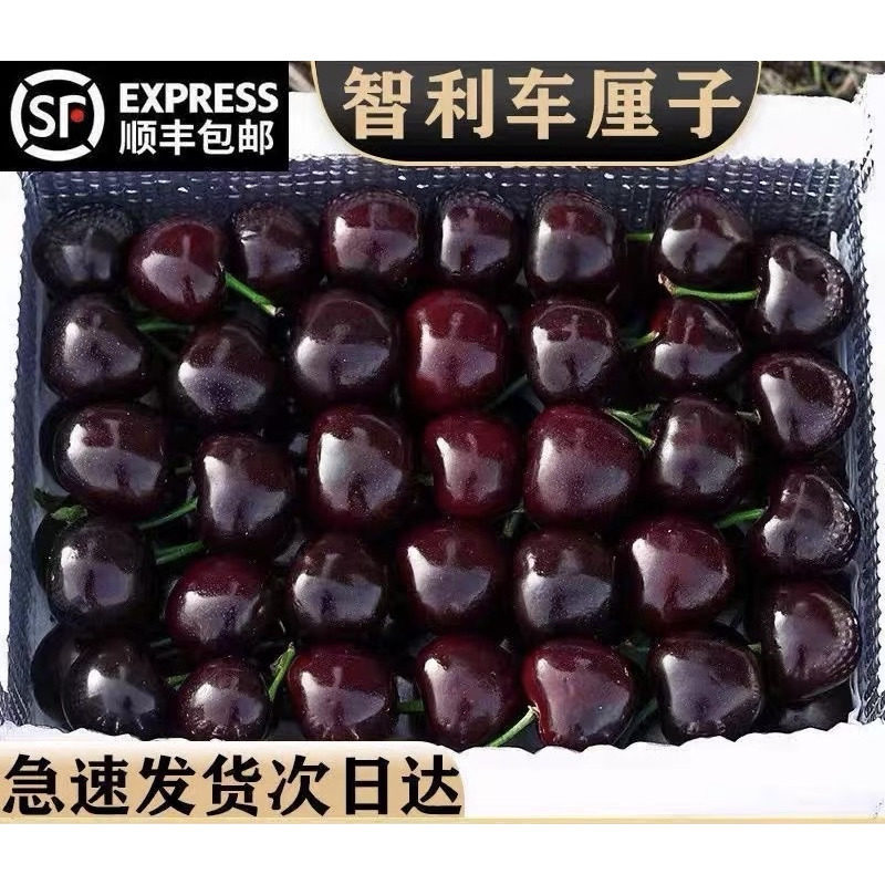 【现货】新鲜车厘子智利进口整箱高档大果樱桃孕妇当季新鲜车厘子,厨房/烹饪用具,调料置物架,淘宝优惠券,粉丝福利购,淘宝优惠卷