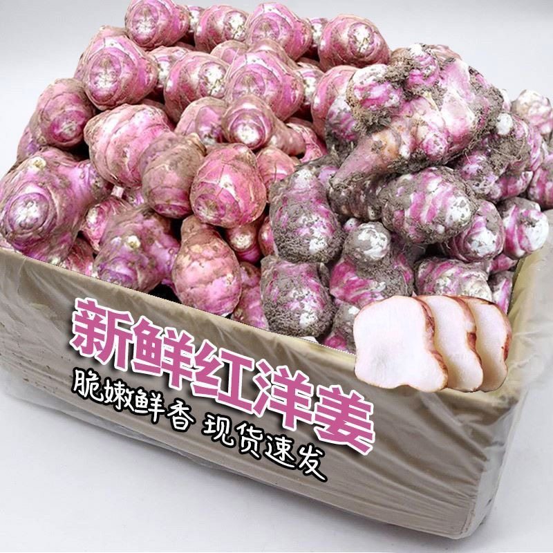 红洋姜新鲜野生鬼子姜不辣农家蔬菜酱腌菜泡菜种姜菊芋现挖生洋姜,厨房/烹饪用具,调料置物架,淘宝优惠券,粉丝福利购,淘宝优惠卷