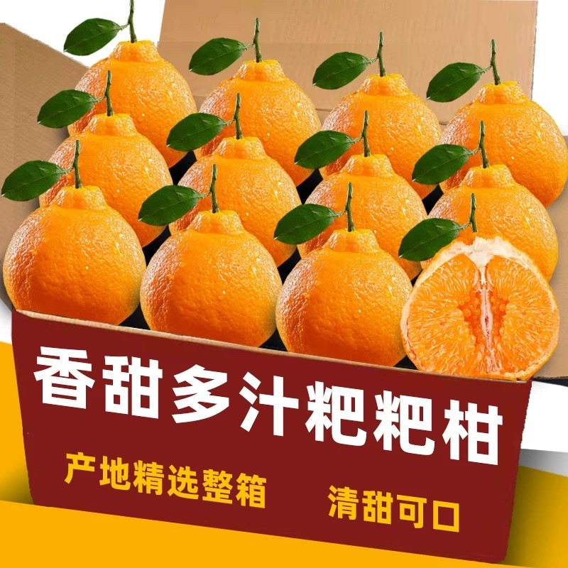 【满满整箱】正宗四川春见耙耙柑新鲜橘子当季水果现摘丑粑粑当季,厨房/烹饪用具,调料置物架,淘宝优惠券,粉丝福利购,淘宝优惠卷