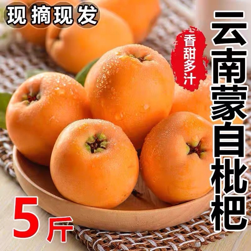 【下单现摘】云南蒙自枇杷孕妇新鲜爆汁净重当季大果现摘现发水果,水产肉类/新鲜蔬果/熟食,枇杷,淘宝优惠券,粉丝福利购,淘宝优惠卷