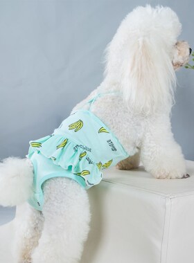 韩国宠物狗狗吊带裤生理裤卡通印花小型犬母狗月经裤防骚扰四脚安