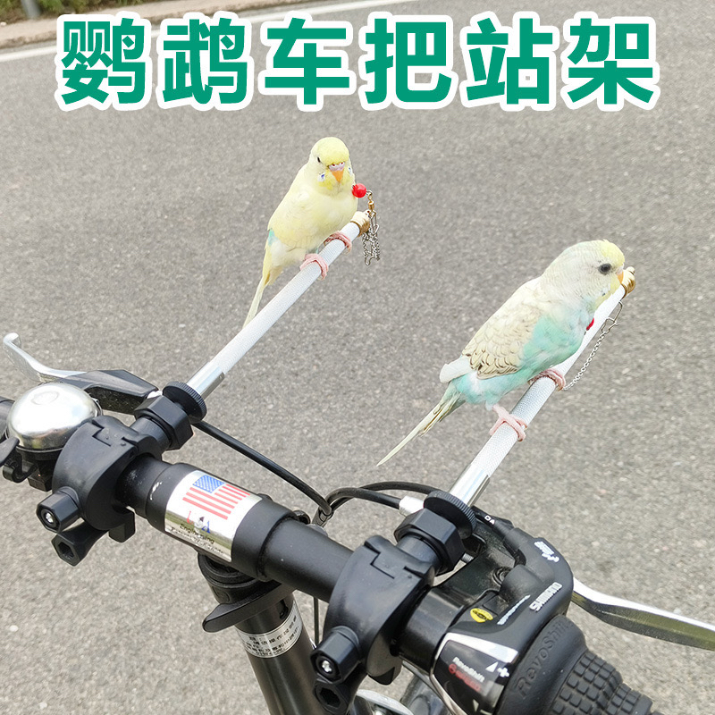 虎皮牡丹玄凤鹦鹉站架自行车电动车载户外遛鸟站杆训练互动站架