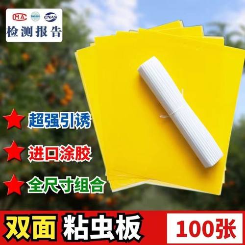 果园黄板双面粘虫板诱虫板贴纸