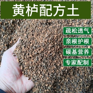 黄栌专用土疏松透气亲根专用配方土易成活家庭盆栽专用