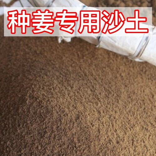 种姜专用沙土存姜专用沙土埋姜保存姜围姜保温专用沙壤土