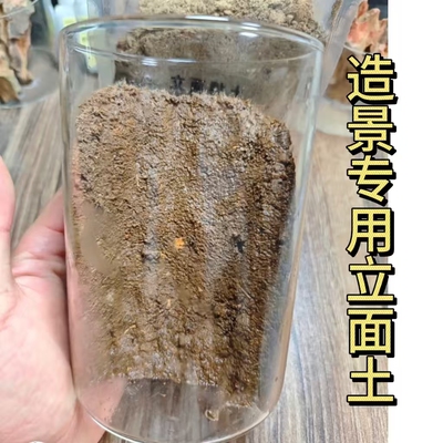 造景专用立面土微景观玻璃缸景观土天然粘土好塑形好管理苔藓绿植
