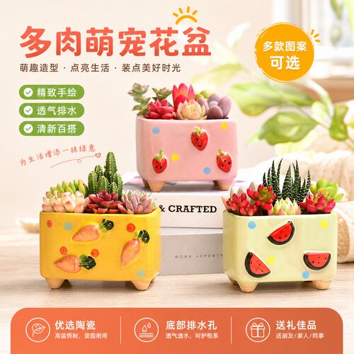 陶瓷多肉花盆微景观桌面摆件