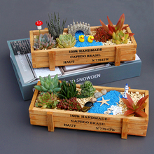 多肉植物组合盆栽套餐diy微景观材料包幼儿园儿童礼盒教师节礼物