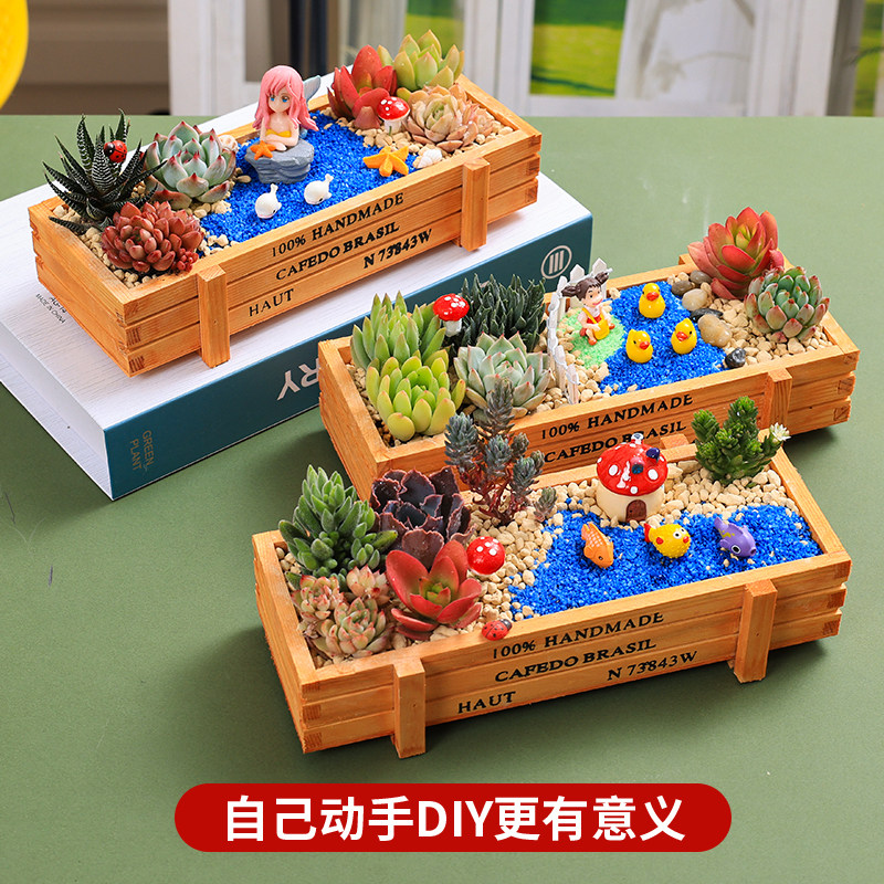 多肉植物微景观DIY材料室内组合小盆栽多肉含盆土绿植套餐植树节,鲜花速递/花卉仿真/绿植园艺,多肉植物,淘宝优惠券,粉丝福利购,淘宝优惠卷
