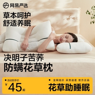 网易严选枕头一对决明子枕芯护颈椎枕双人整头睡眠荞麦枕夏季 家用