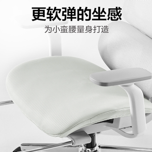 【配件】小蛮腰S9人体工学椅乳胶坐垫套头枕套防水隔脏面料