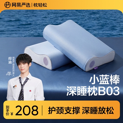 【梓渝好物】网易严选小蓝棒深睡枕B03 3.0记忆棉枕头护颈礼盒装