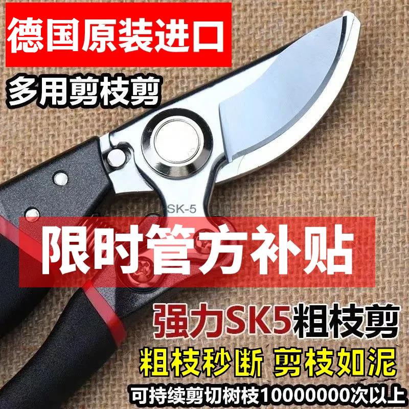 德国进口钢剪树子果修枝家用专葡