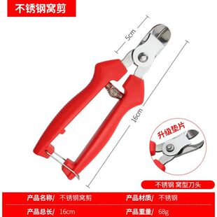 加厚不锈钢窝型果剪西红柿苹果专用剪橘子水果 果柄剪脐橙剪刀