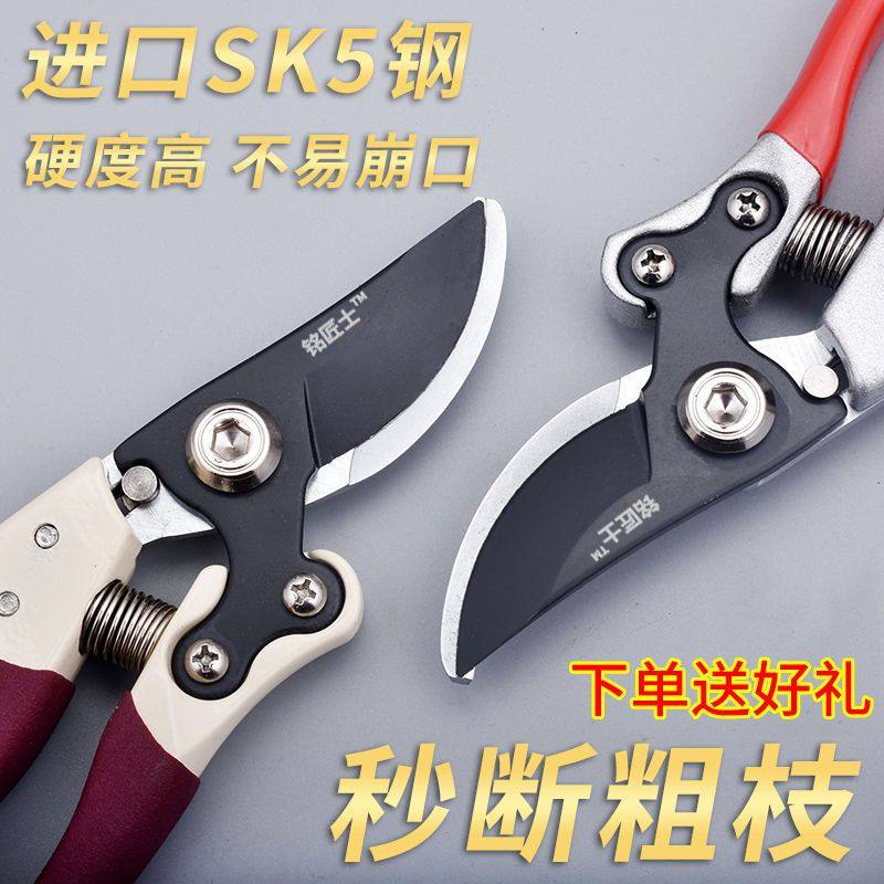 强力果树枝剪刀修粗子花卉绿化园图片