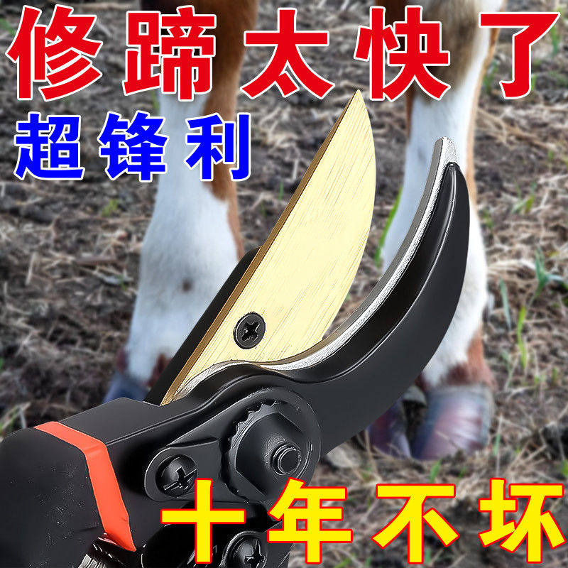 羊修蹄剪修蹄刀修羊剪蹄神器修蹄钳子专用工具养羊工具羊蹄子用品