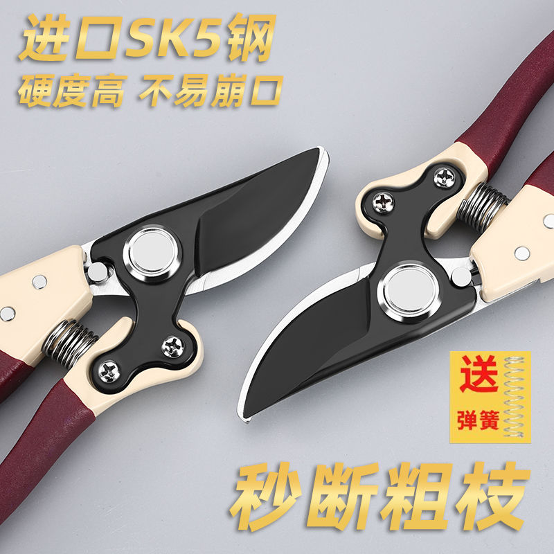 进口SK5园林剪枝剪刀果树剪刀强力修枝剪刀树枝剪子园艺修花剪刀