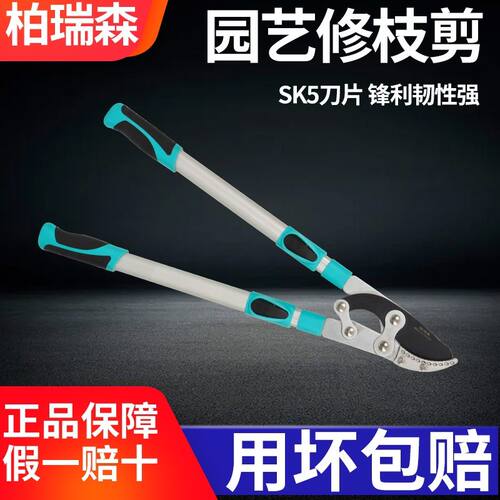 粗枝剪果树修伸缩强力省大高园艺