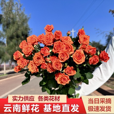 多头玫瑰插花鲜花花束