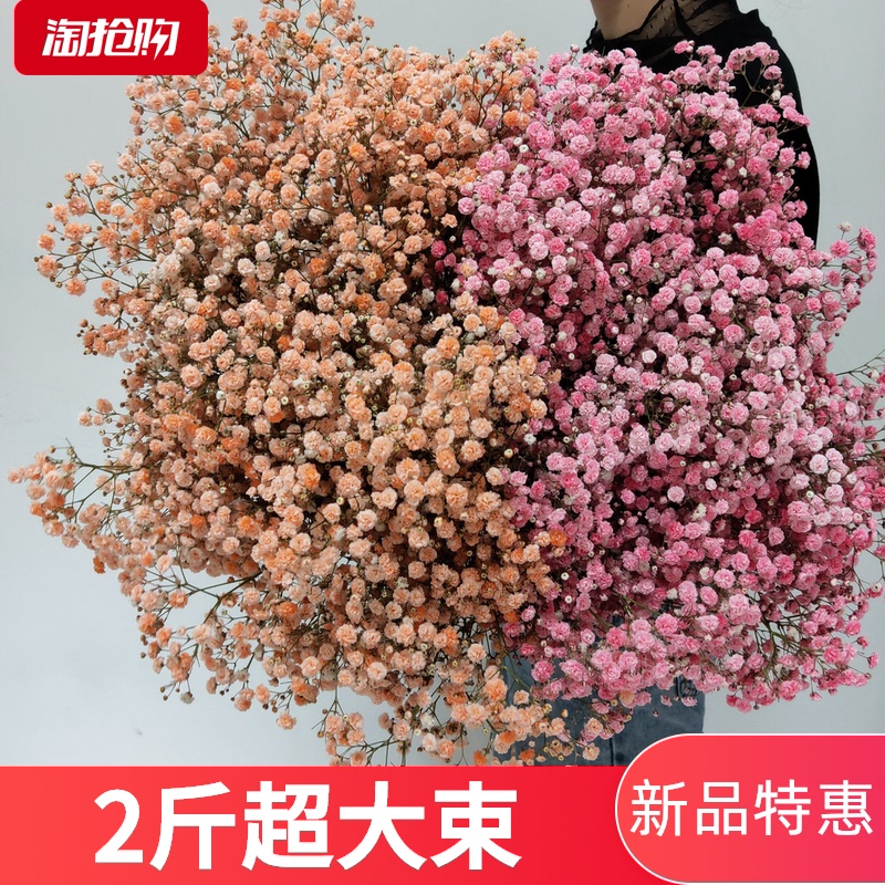 发光满天星勿忘我干花鲜花浪漫