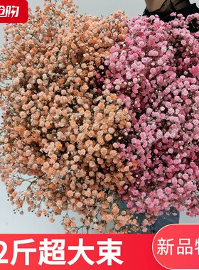 发光满天星勿忘我干花鲜花浪漫